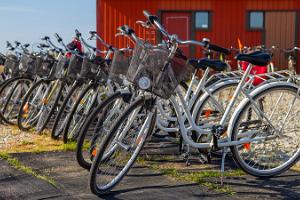 The largest bike rental of the island at the Kihnu harbour