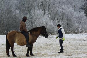 Horse riding at Karl-Eeriku Riding Farm