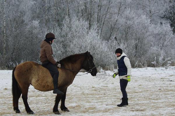 Reiten auf dem Reiterhof Karl-Erik