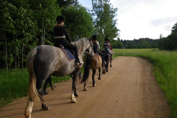 Horse riding at Karl-Eeriku Riding Farm