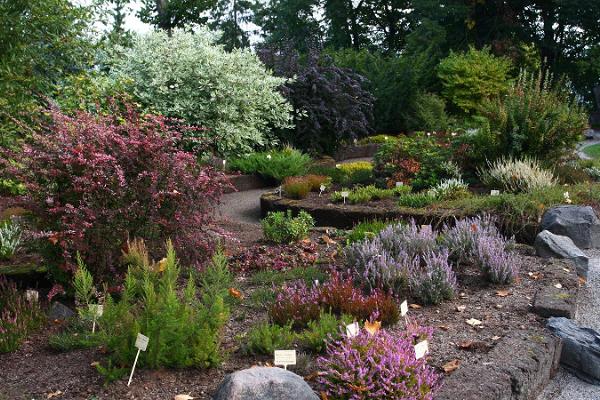 Botanischer Garten der Universität Tartu