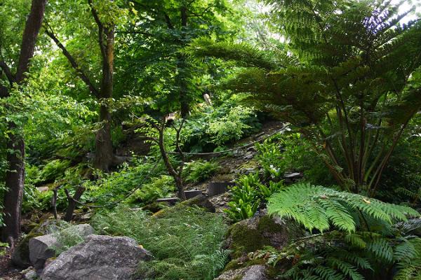 Botanischer Garten der Universität Tartu