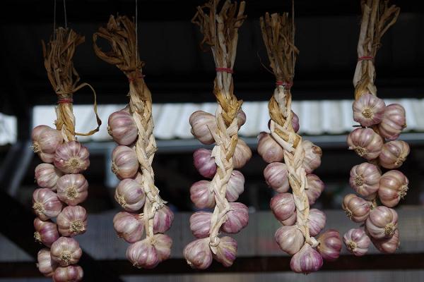 Tartu Market, garlic wreaths