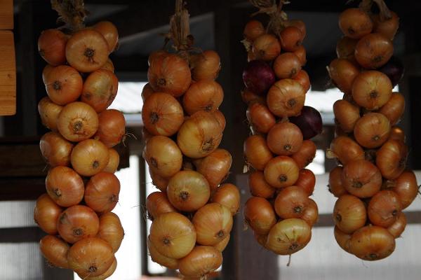 Tartu Market, hanging onion wreaths