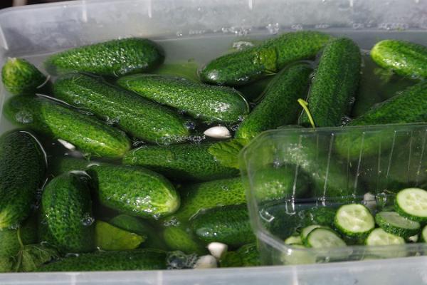 Tartu Market, fresh pickles