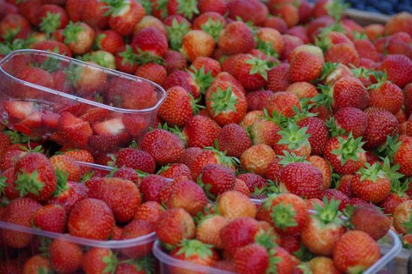 Freiluftmarkt in Tartu: Erdbeeren