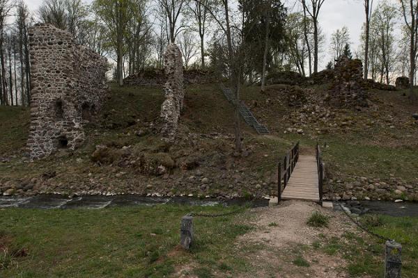 Tarvastu Ordensborgs ruiner