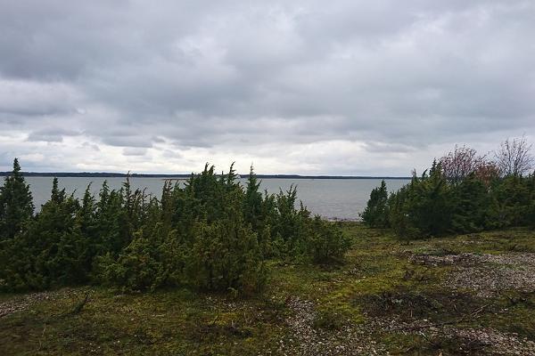 Wanderweg des RMK (dt. Staatliche Zentralstelle für die Bewirtschaftung von Waldressourcen) von Rumpo