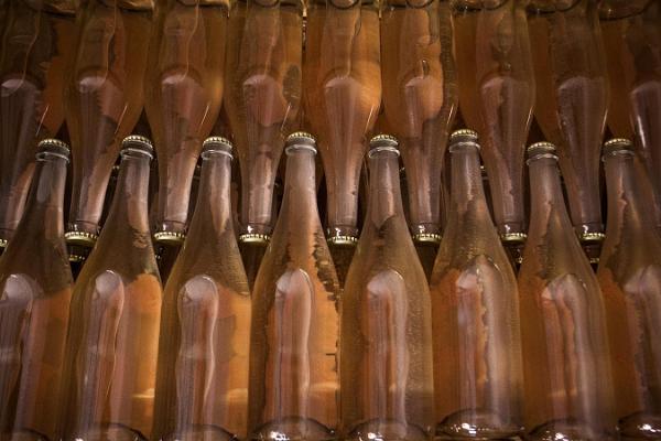 Дегустация крафтовых вин на водочном заводе Habaja