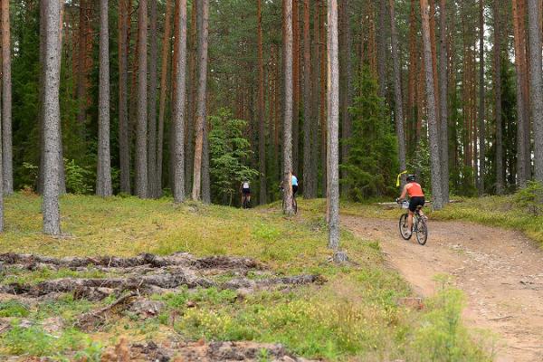 Fahrradstrecke Agusalu