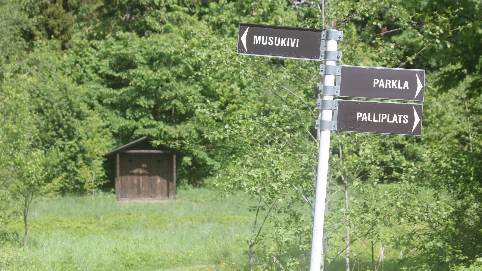 Taagepera hiking trail - pilt