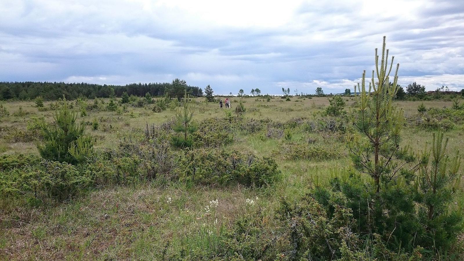 Alvars of Sarve peninsula