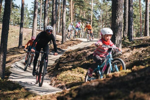 Jeulumē (Jõulumäe) Veselības sporta centra apvidus velosipēdistu takas priežu mežā