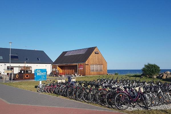 The largest bike rental of the island at the Kihnu harbour