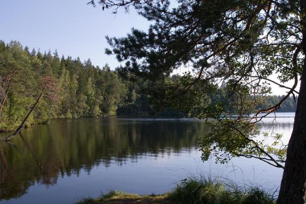 Lake Pikkjärv and camping area