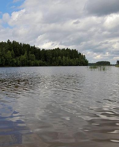 Paunküla veehoidla