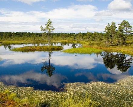 Resa i norra Estlands natur
