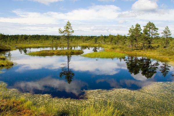 Omal käel tuur Juminda ja Pärispea poolsaarele