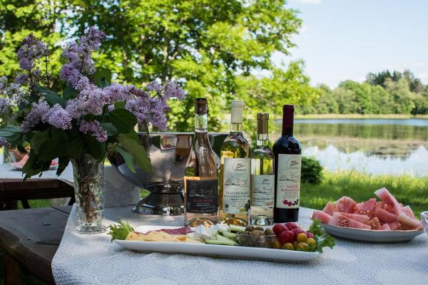 Estonian Wine Route Tour and a beautiful snack and wine tasting table in summer