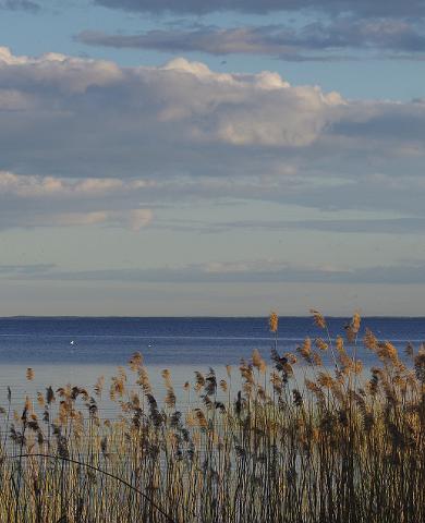 Võrtsjärv, Vaibla, Visit Estonia