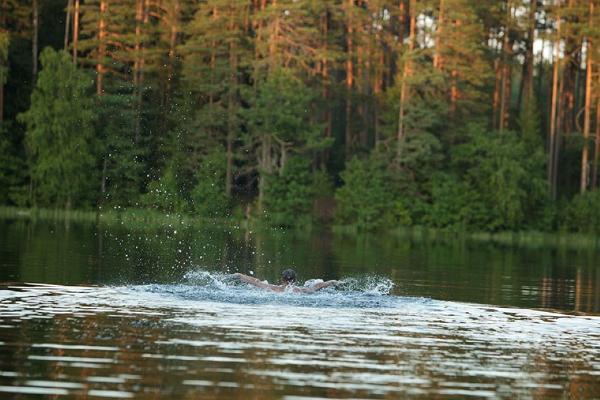 Järvi Pikkjärv ja telkimisala