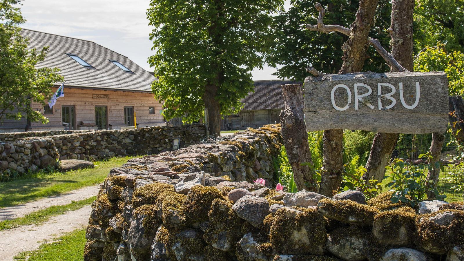 Flavour thrills in Saare County (juniper syrup tastings)