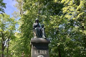 Das Denkmal für Karl Ernst von Baer
