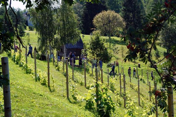 Besök till Murimäe vinkällare och vingård