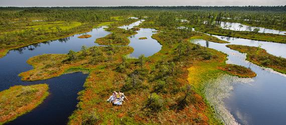 Hållbar naturturism och ekoturism i Estland