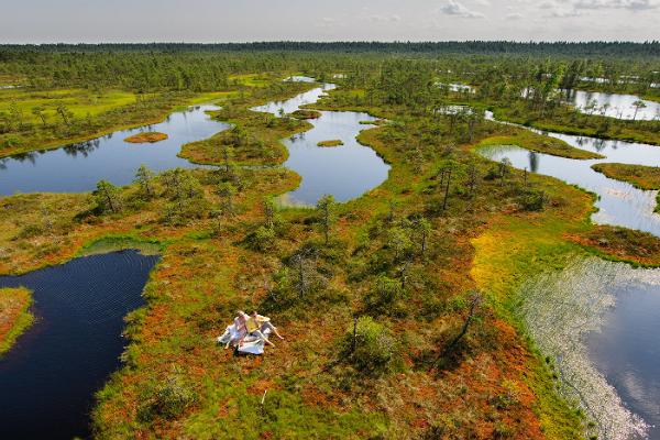 Hållbar naturturism och ekoturism i Estland