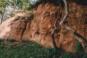 Обнажение песчаника в Вильяндиском замковом парке