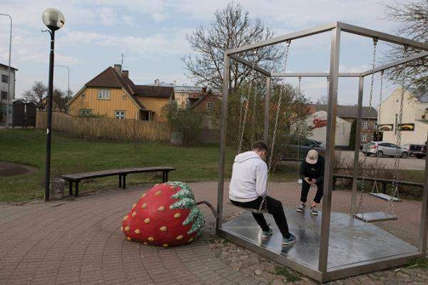 Strawberries in Viljandi