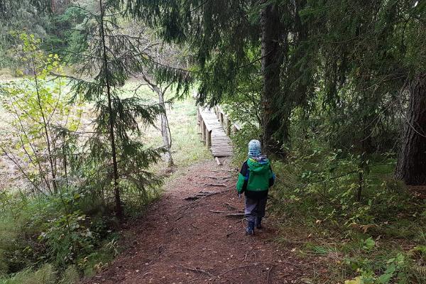 Vitipalu Adventure Trail / Fairy Trail (Haldjarada)