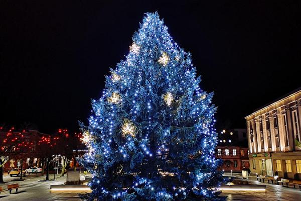 Pärnun kaupungin joulukylä ja joulumarkkinat