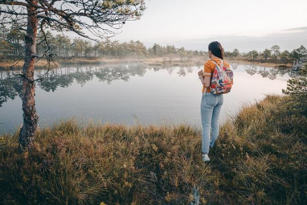 Marimetsa Bog Hiking Trail