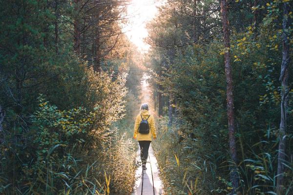 Wanderweg im Hochmoor Marimetsa