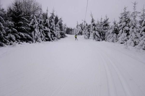 Kuningamäe ski trails