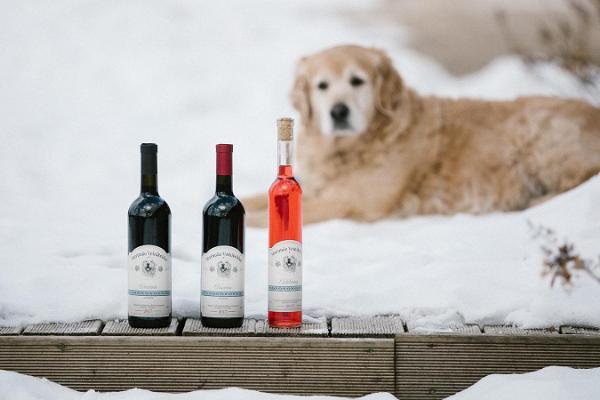Hund im Schnee und das Produktsortiment des Weinhofs Murimäe 