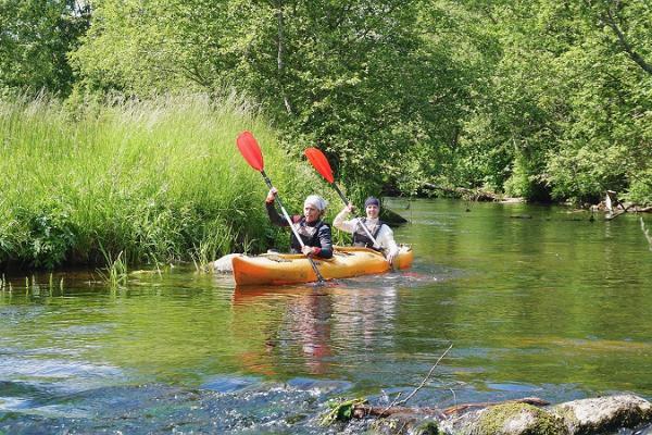 One-day canoe and kayak trips on the Võhandu Pühajõgi