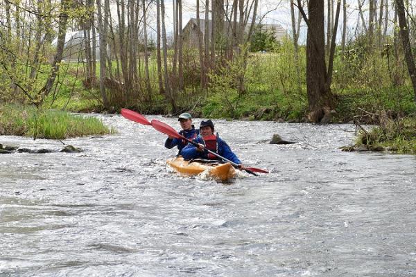 One-day canoe and kayak trips on the Võhandu Pühajõgi