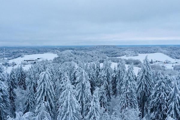 Aussichtsturm auf dem Berg Suur Munamägi