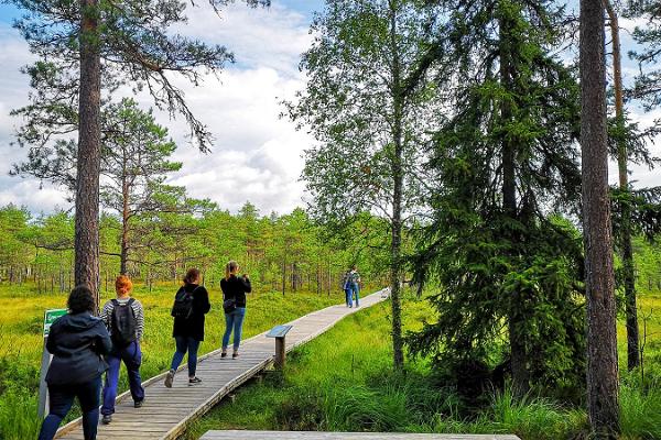 Päevareis Lahemaa Rahvusparki algusega Tallinnast