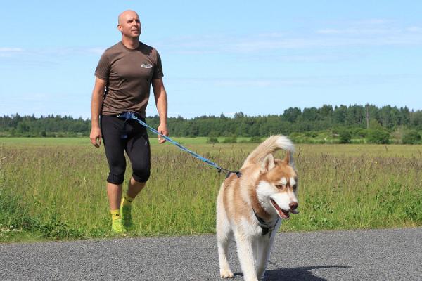 Ausflug mit sibirischen Huskys