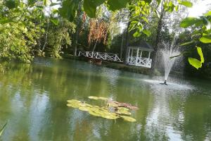 Rena vattnets temapark