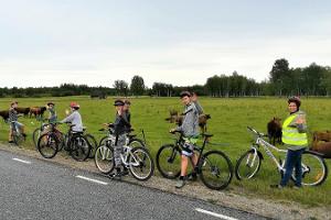 Jalgrattamatkad ja jalgrattaretked ning jalgrattarent Eestis
