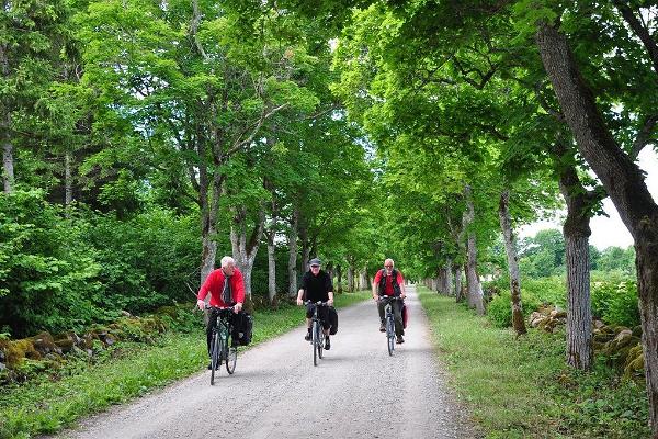 Bicycle tour around Saaremaa
