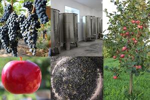 Vīna saimniecības "Järiste Veinitalu" vīnu un sidru degustēšanas darbnīca