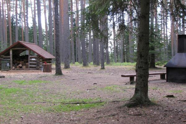 Место для установки палаток Палоярве Центра управления государственными лесами