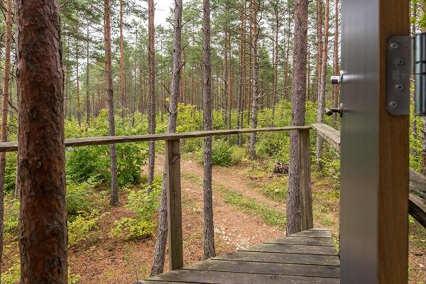 Treehouse on Saaremaa