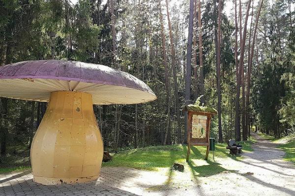 Spielplatz Seeneriik (Pilzreich) in Elva 